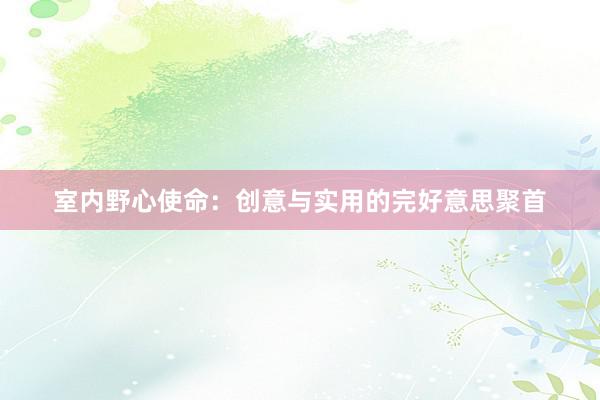室内野心使命：创意与实用的完好意思聚首