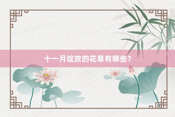 十一月绽放的花草有哪些？